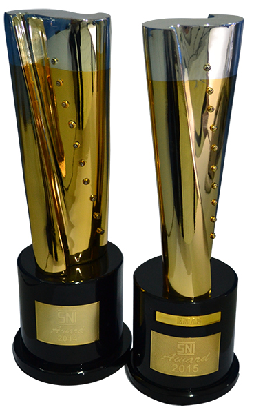 piala sni award 2014 dan 2015